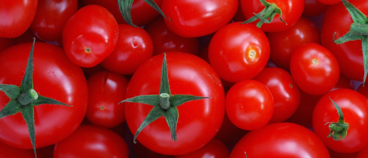 Tomatoes- Prostate Cancer and…Sperm Quality
